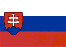The Slovakian Flag